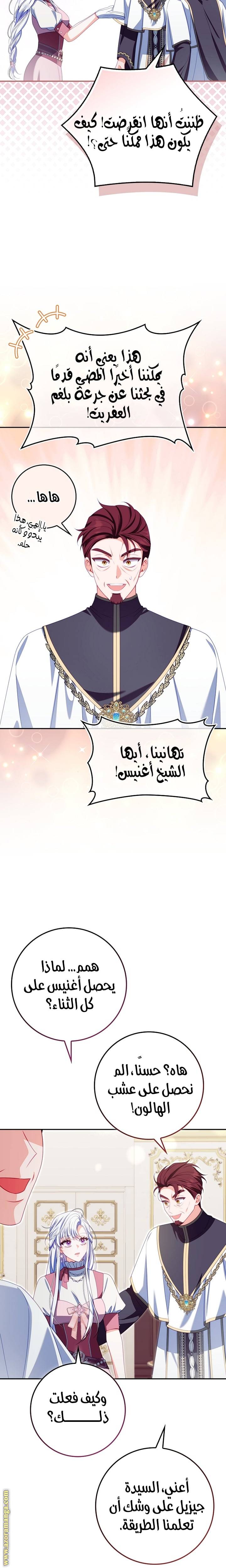 الصفحة 13