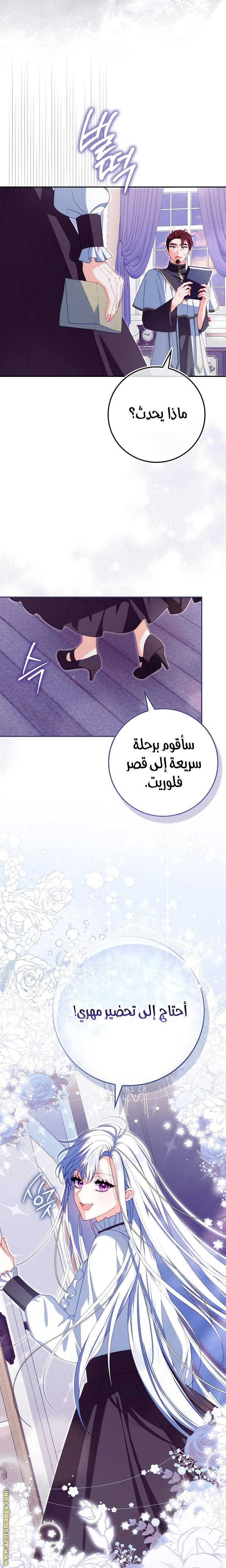 الصفحة 30