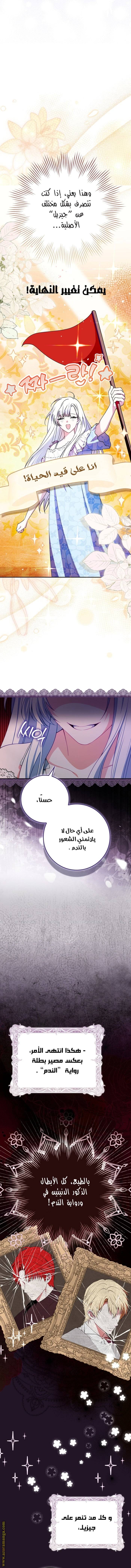 الصفحة 17