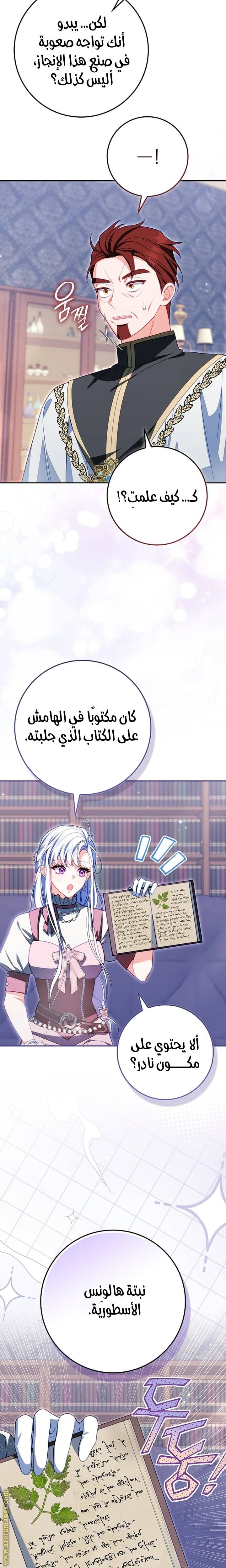 الصفحة 11