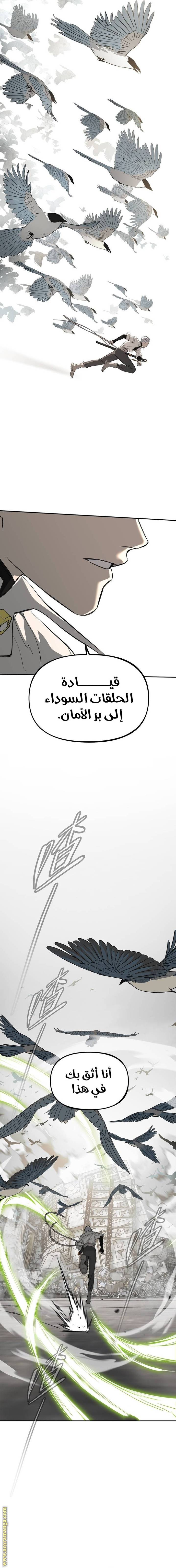 الصفحة 13