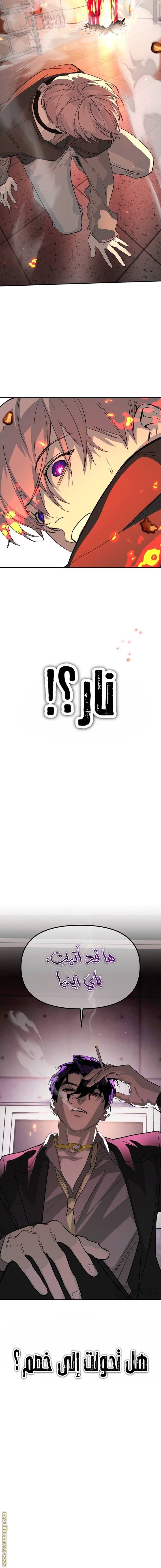 الصفحة 13