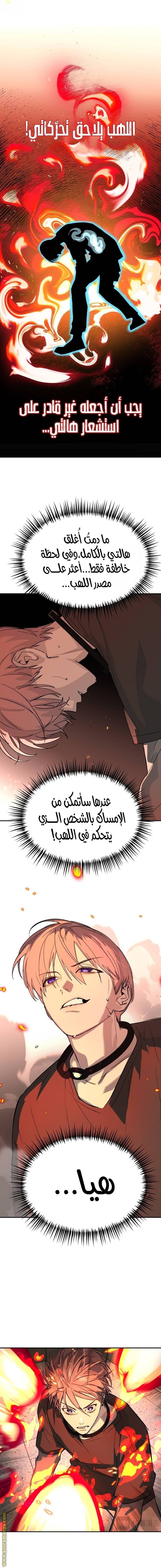 الصفحة 17
