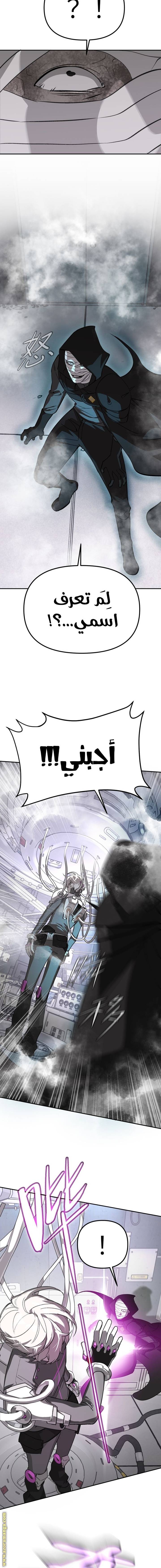 الصفحة 13