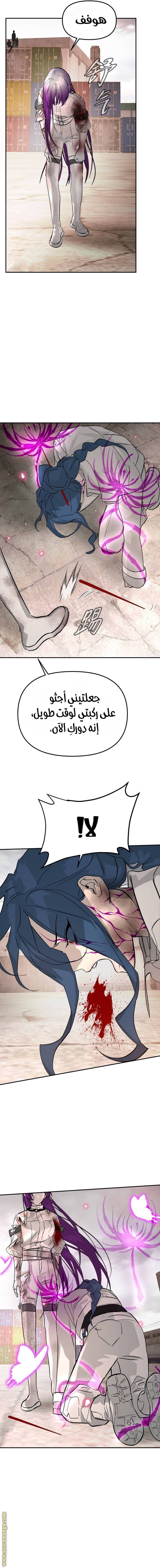 الصفحة 13