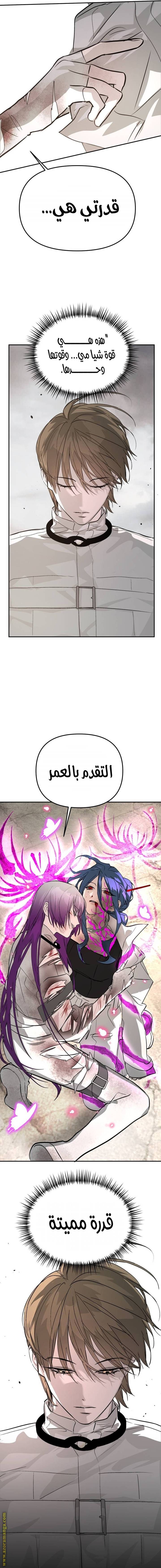 الصفحة 15