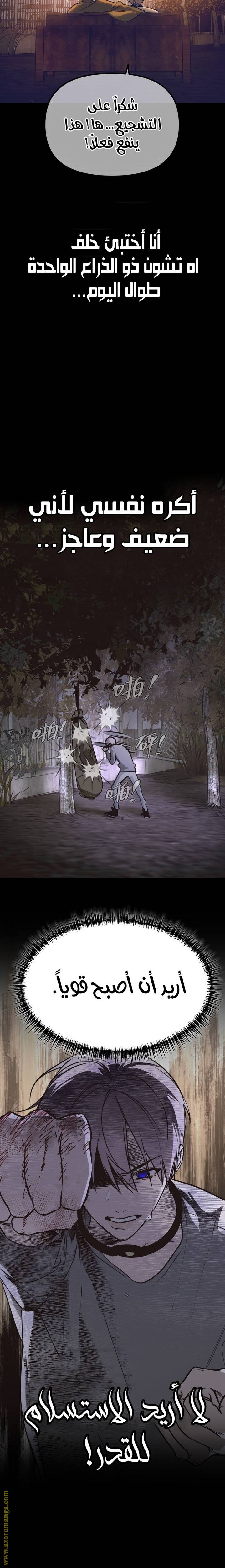 الصفحة 25