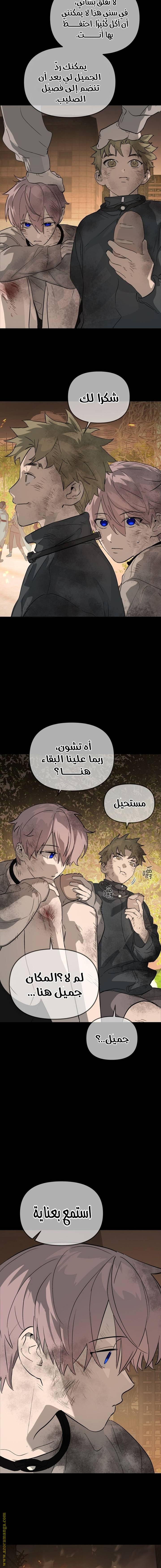 الصفحة 16