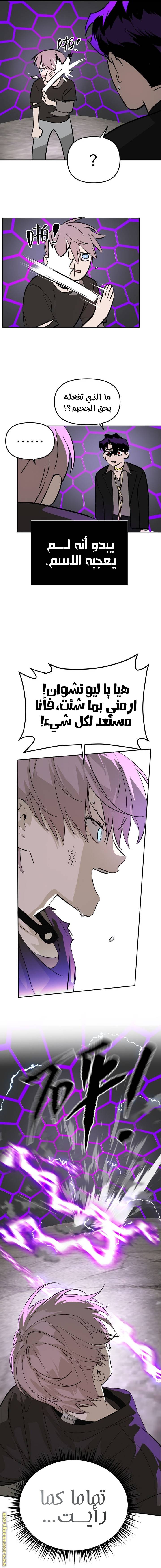 الصفحة 13