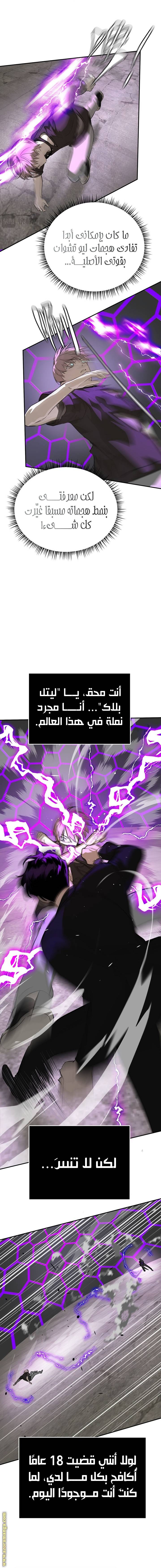 الصفحة 14