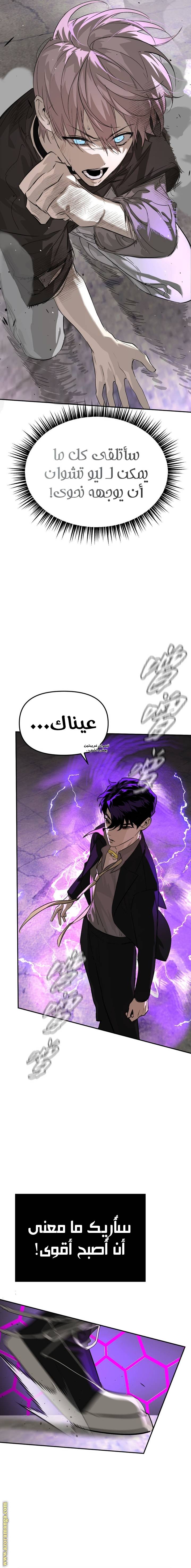 الصفحة 17
