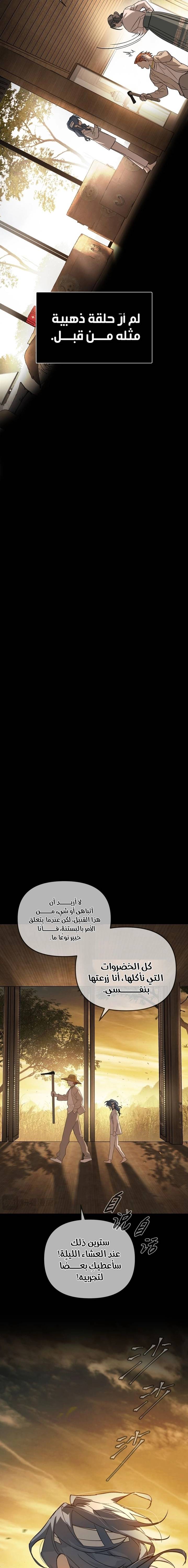 الصفحة 17