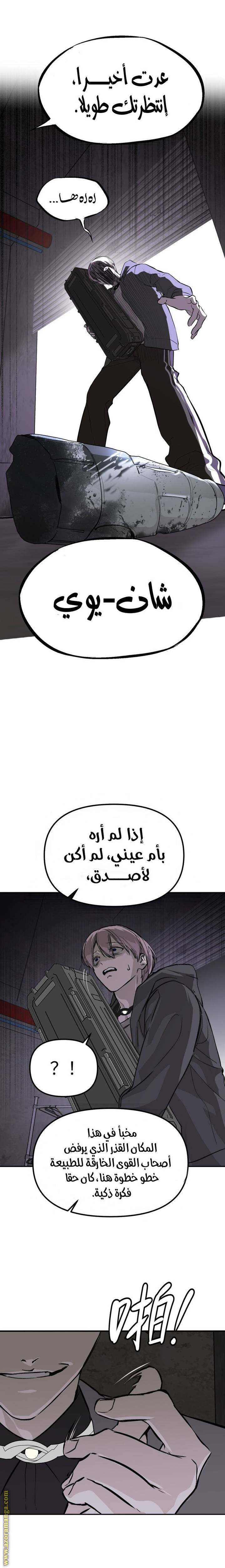الصفحة 13