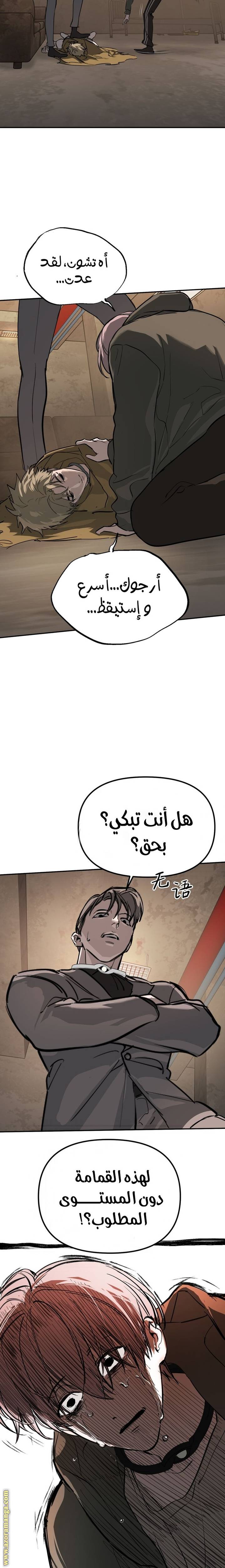 الصفحة 17