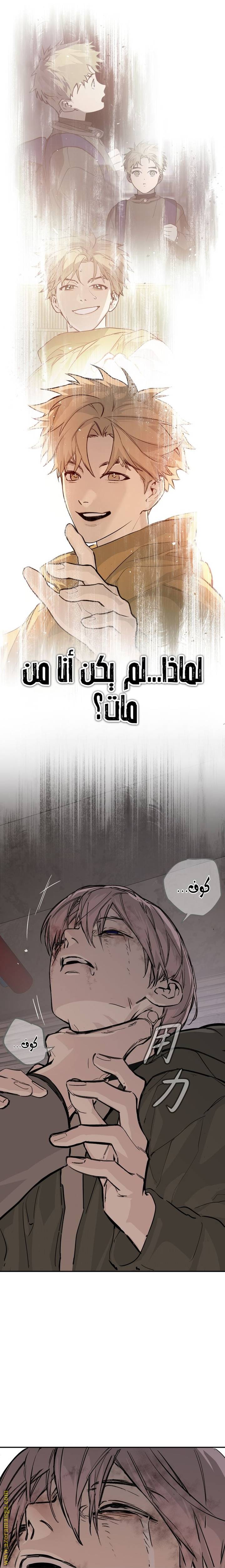 الصفحة 21