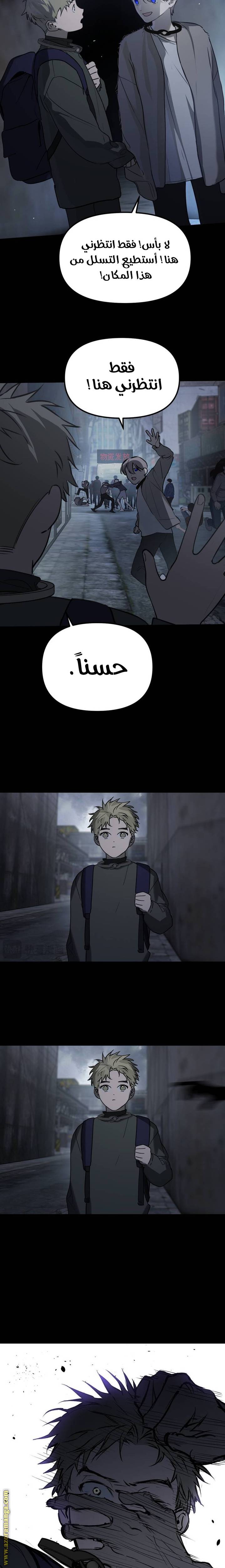 الصفحة 13