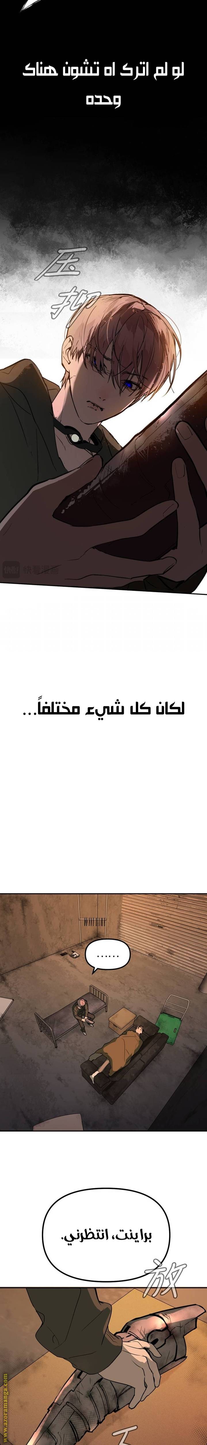 الصفحة 17