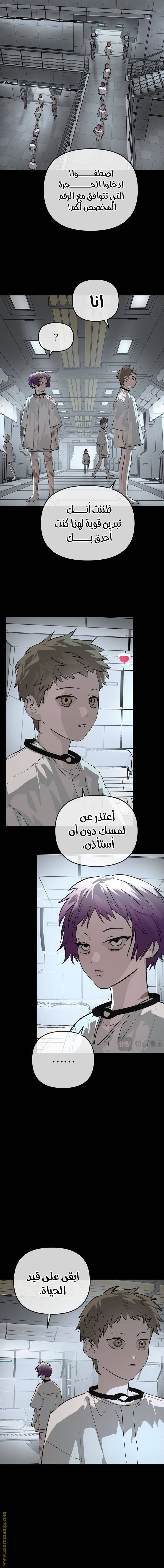 الصفحة 7