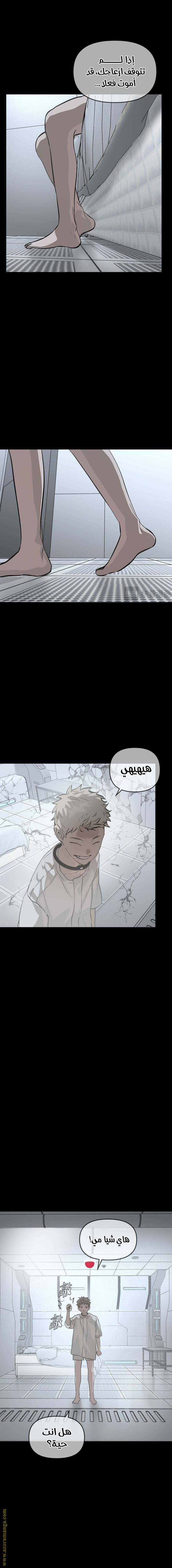 الصفحة 12
