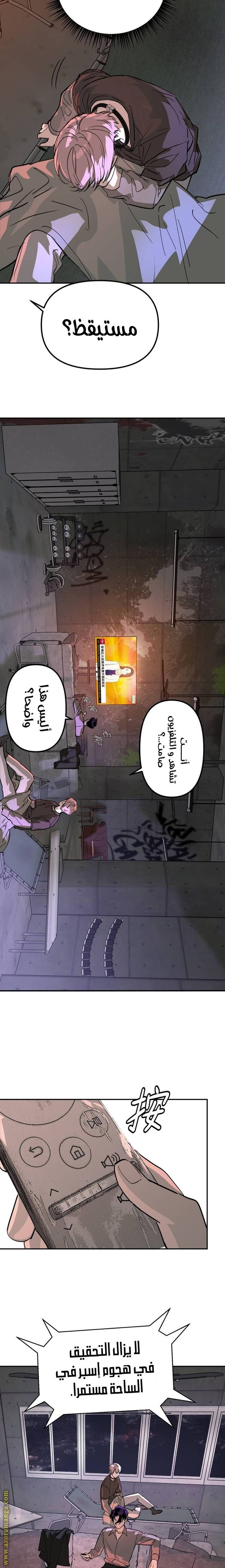 الصفحة 17