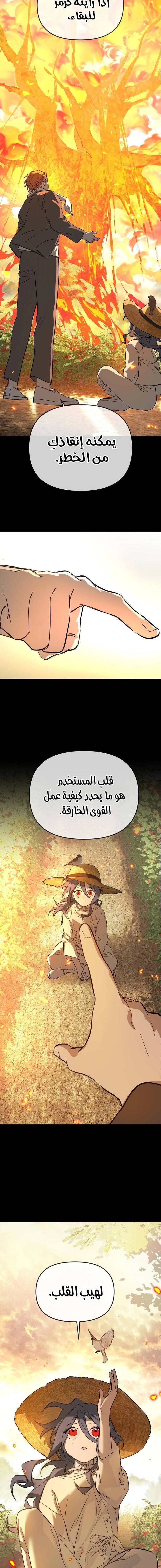 الصفحة 7