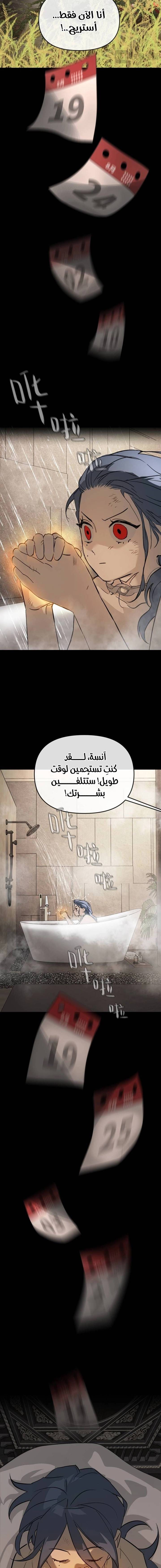 الصفحة 19