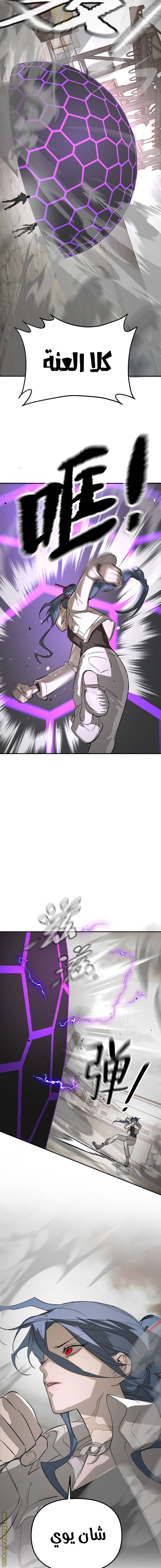 الصفحة 13