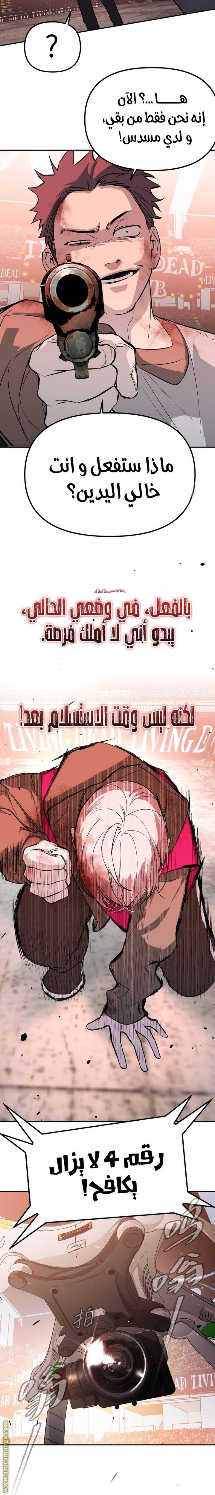 الصفحة 13