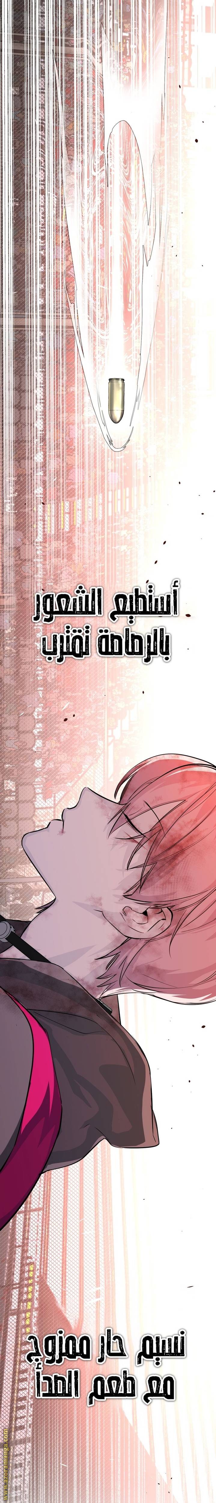 الصفحة 15
