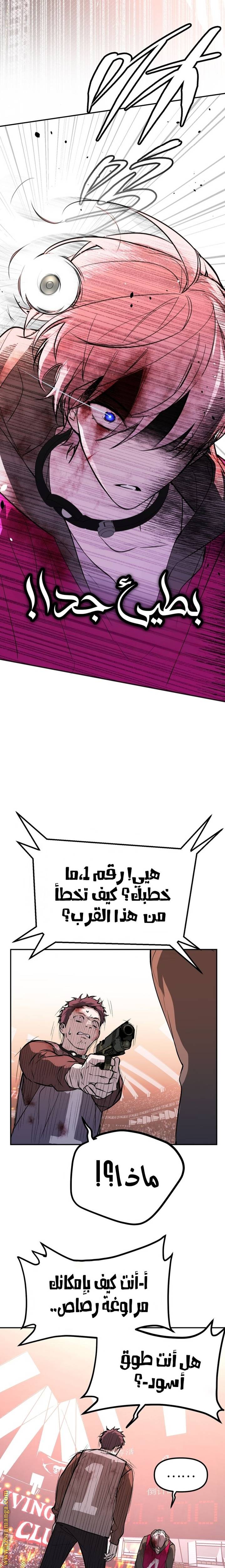 الصفحة 16