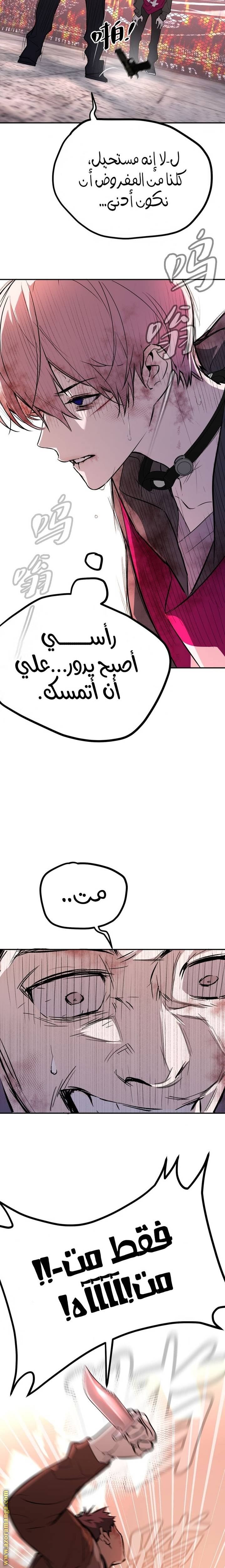 الصفحة 17