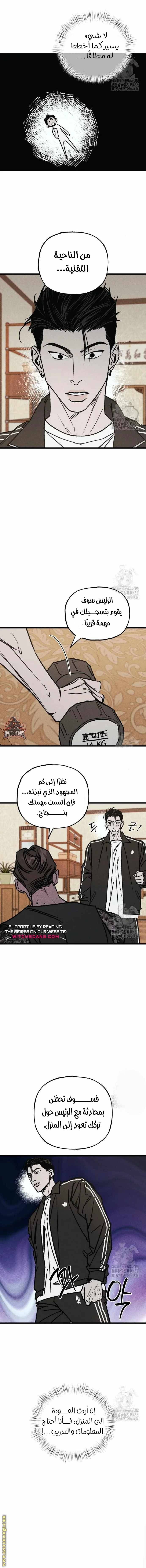 الصفحة 11