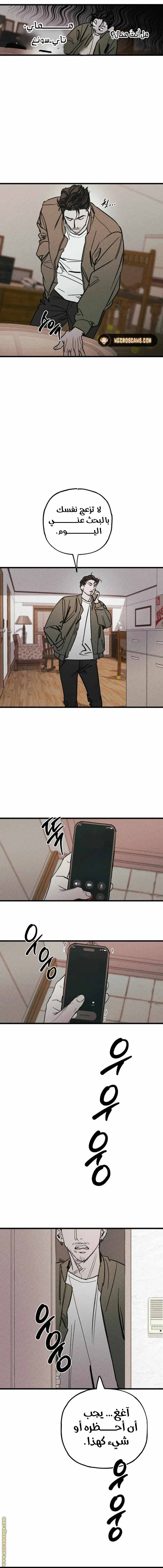 الصفحة 8