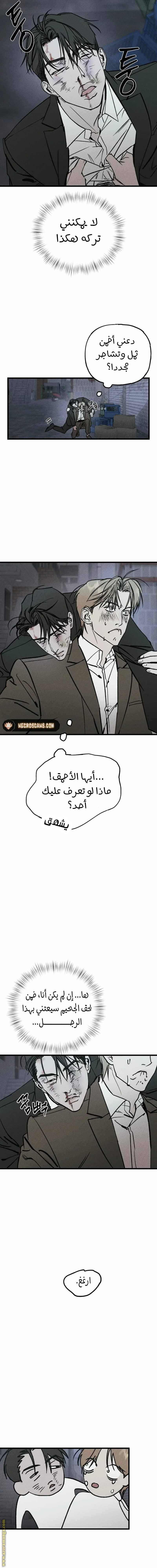 الصفحة 13