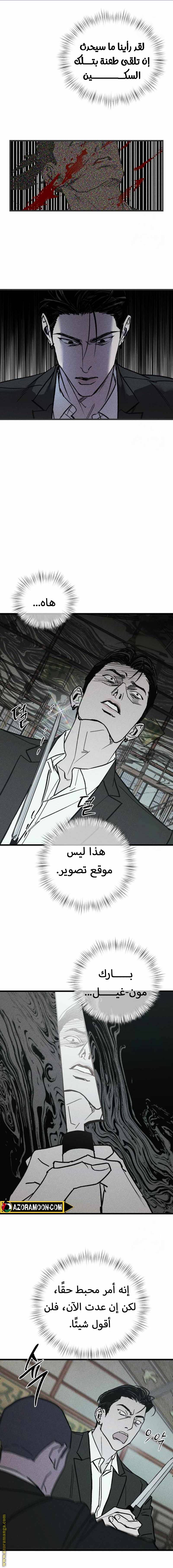 الصفحة 14