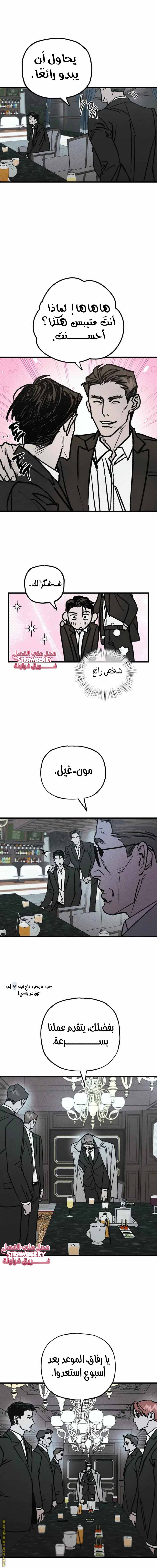 الصفحة 11