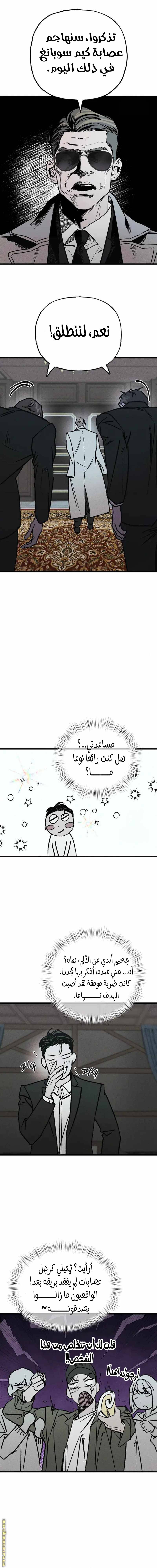 الصفحة 12