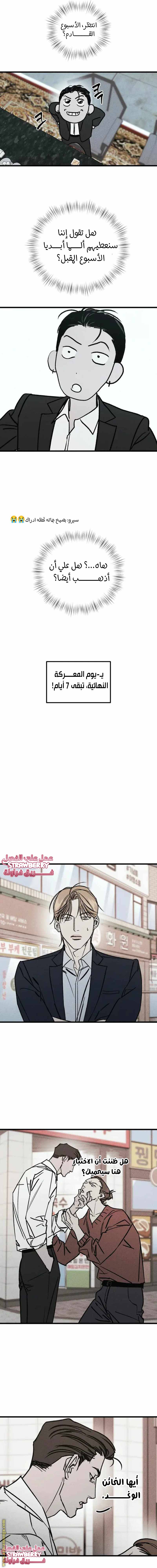 الصفحة 13