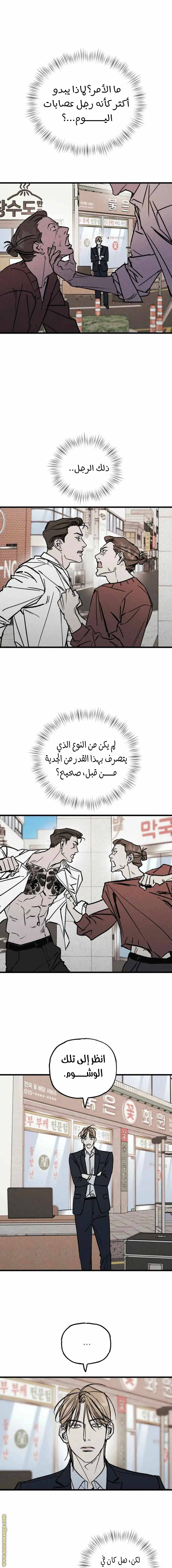 الصفحة 14