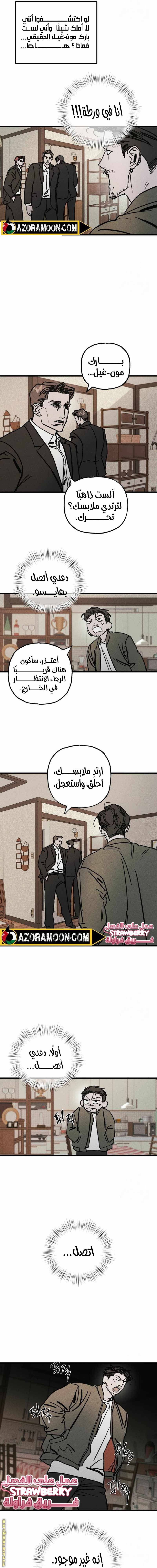 الصفحة 5