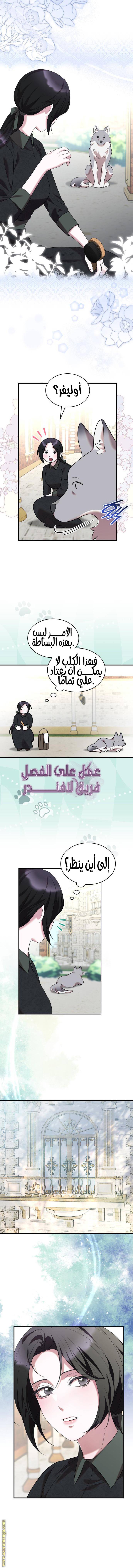 الصفحة 8