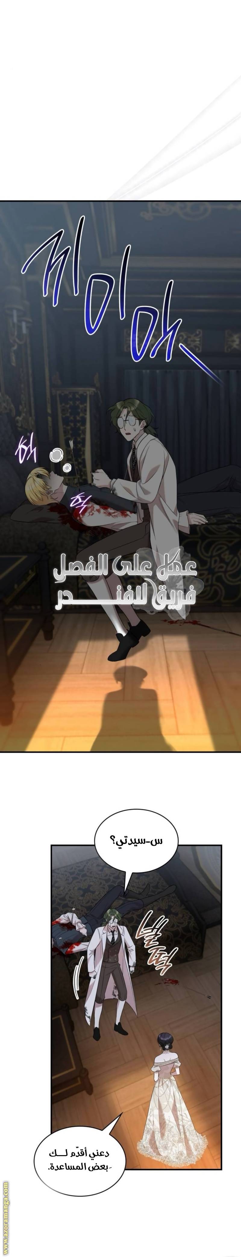 الصفحة 13