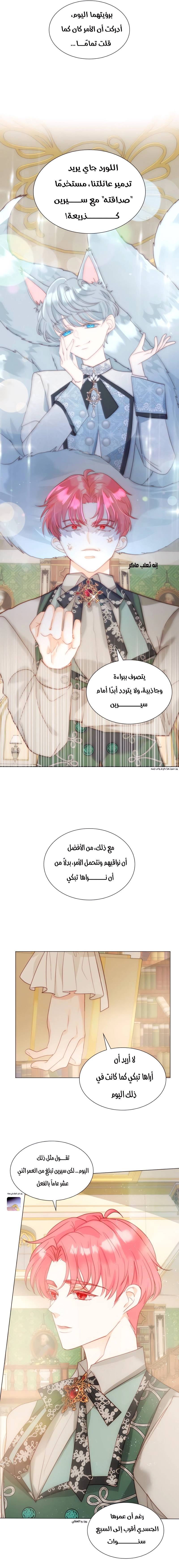 الصفحة 15