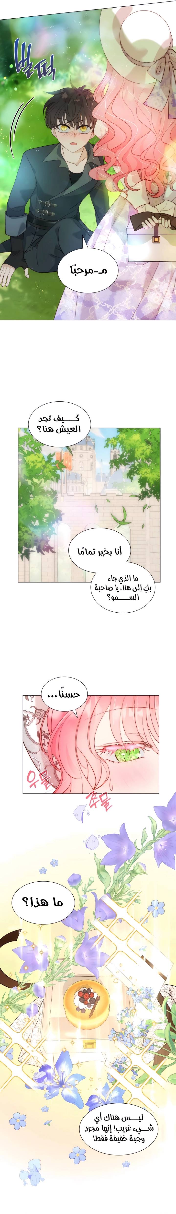 الصفحة 3