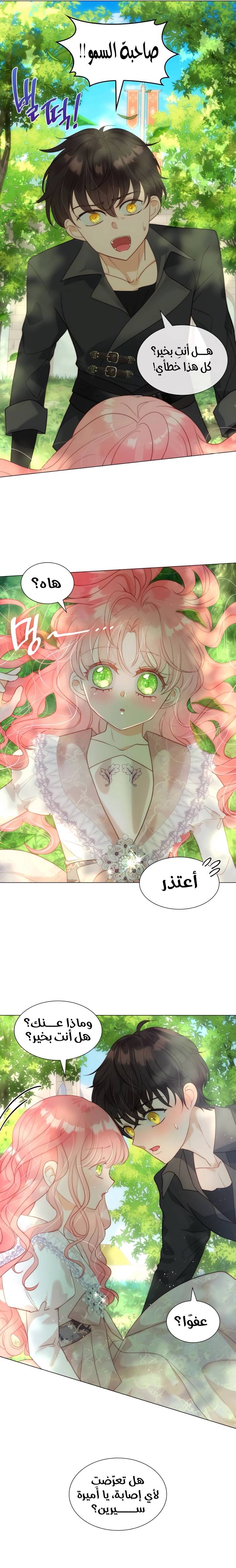 الصفحة 6