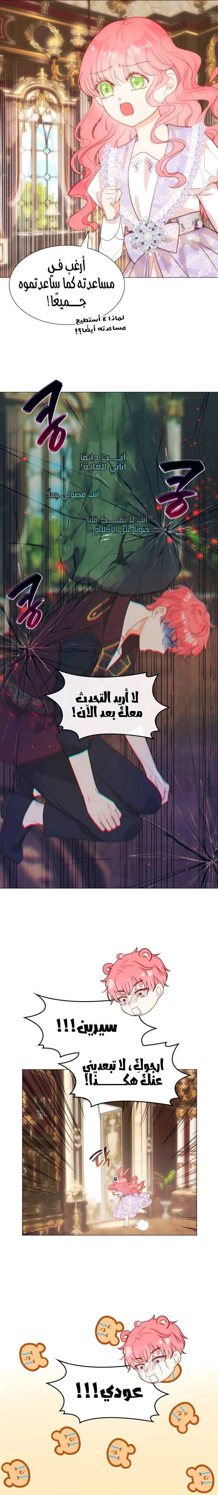 الصفحة 13