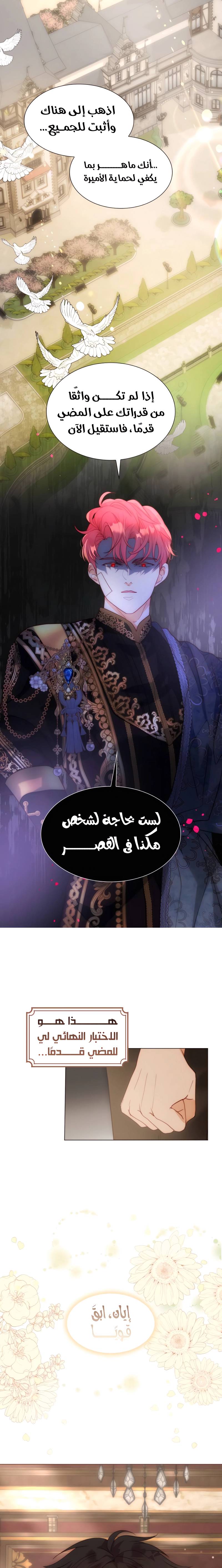الصفحة 13
