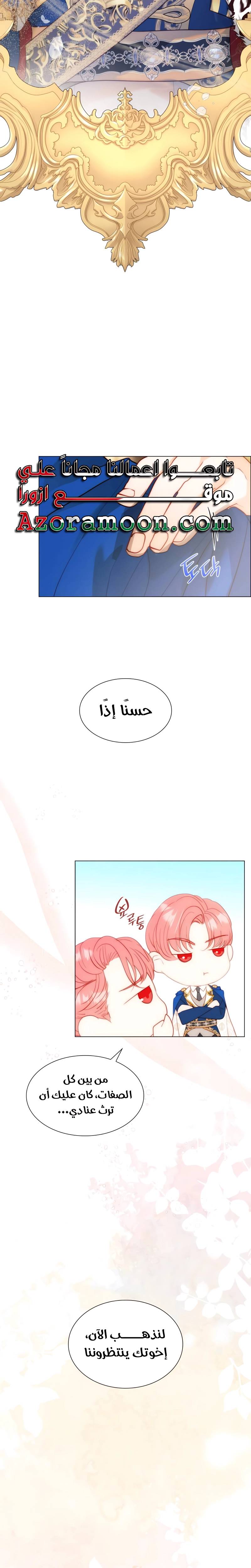 الصفحة 17