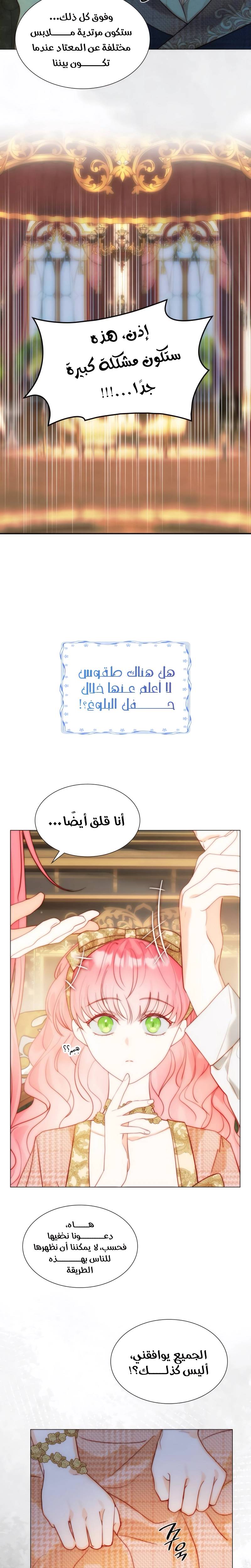 الصفحة 20