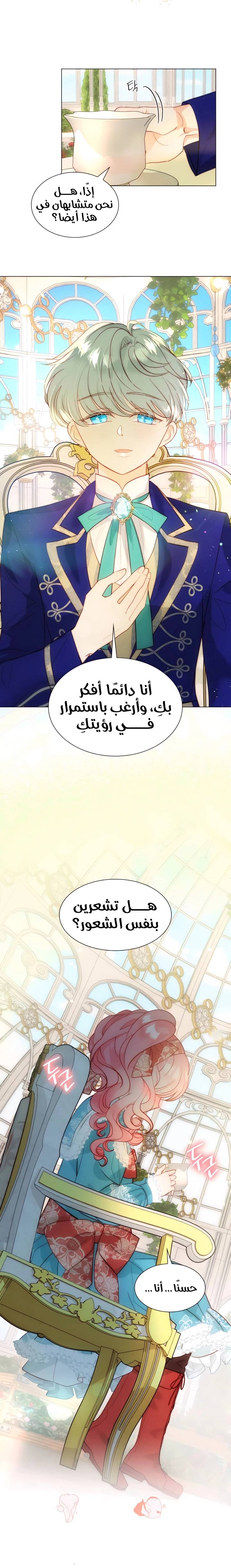 الصفحة 15